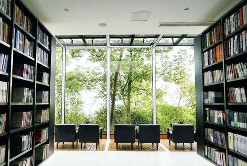 以書為媒 一對(duì)年輕夫婦的浪漫創(chuàng)業(yè)與數(shù)字文化傳播之路